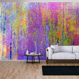 Colorful Background All Colors of the Rainbow Wallpaper Living Room Mural