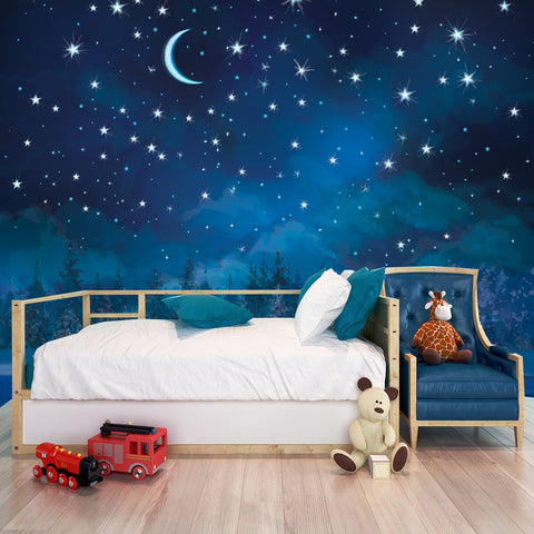 Night Winter Scene, Sky and Forest Background Wallpaper Boys Bedroom Mural