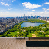 Aerial View of the Central Park in New York with Golf Fields and Tall Skyscrapers Wallpaper Living Room Mural