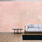 Old Concrete Wall and Floor as Background Texture Wallpaper Living Room Mural