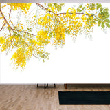 Flower of Golden Shower Tree Isolated on White Background Wallpaper Living Room Mural