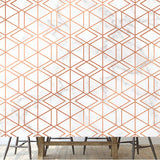 Abstract Luxury Gold Retro Texture. Trendy Background Wallpaper Dining Room Mural