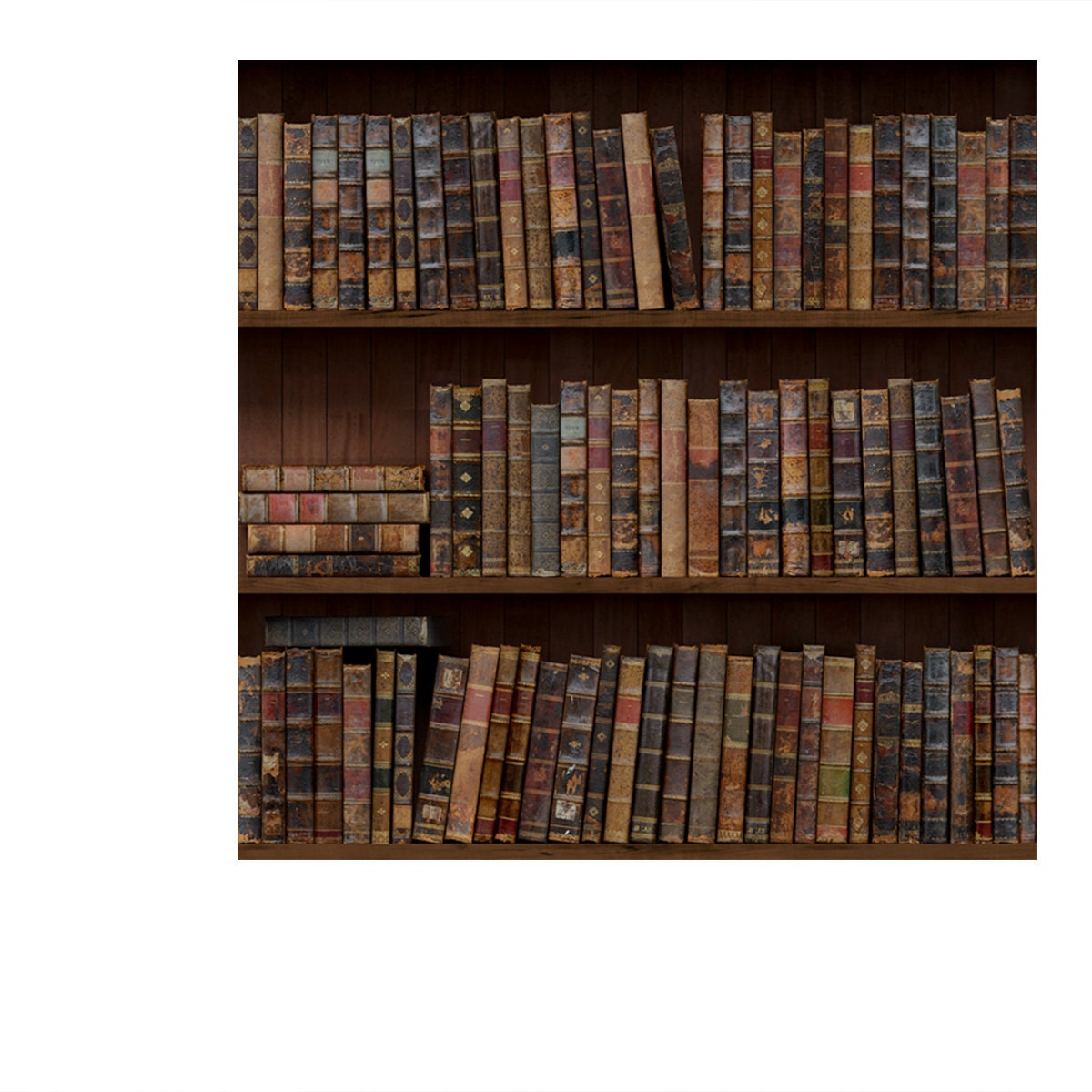 Old Books Seamless Texture (Vertically and Horizontally). Bookshelf Background Wallpaper Bedroom Mural