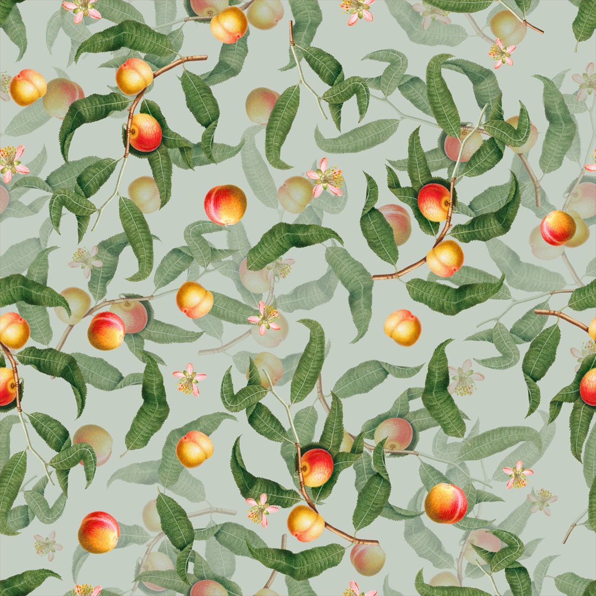 Seamless Pattern with Peach Fruits, Blossom and Green Leaves on Green Background, Vintage Botanical Wallpaper Kitchen Wallpaper Mural