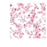 Beautiful Cherry Blossom Flowers, Sakura Branch Flowers Watercolor Painting Wallpaper Living Room Mural