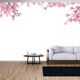 Cherry Blossom (Sakura) in Spring Season Isolated on White Background Wallpaper Living Room Mural