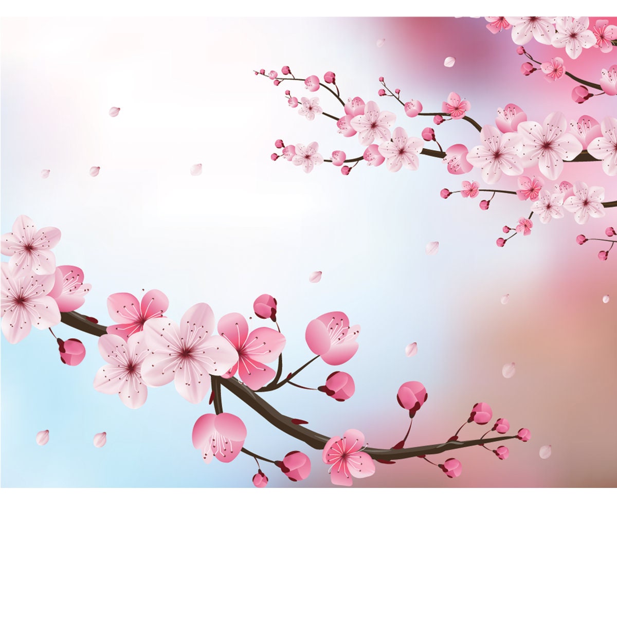 Cherry Blossom Realistic Vector, Blur Background Wallpaper Girl Bedroom Mural