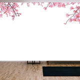 Cherry Blossom (Sakura) in Spring Season Isolated on White Background Wallpaper Living Room Mural