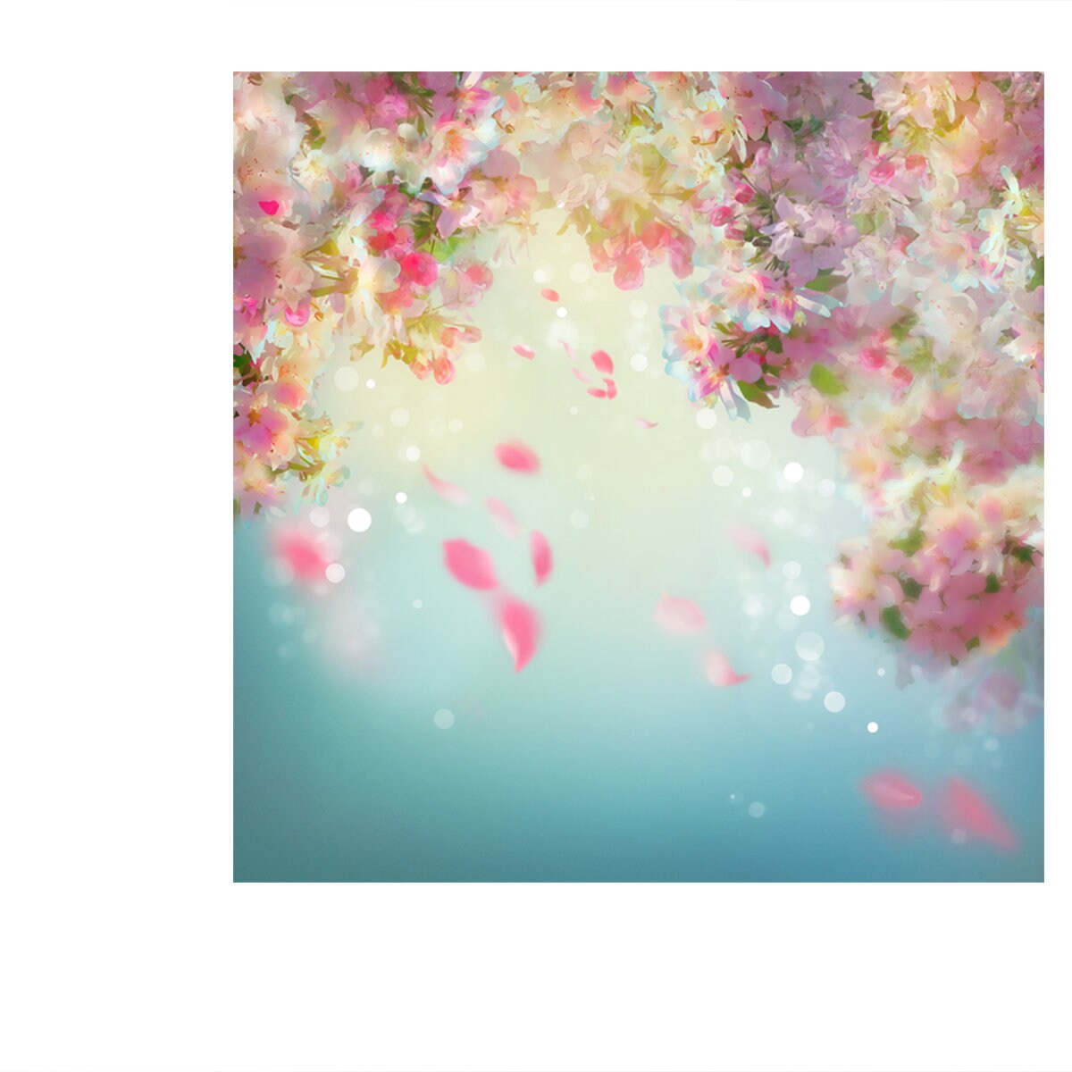 Spring Cherry Blossom with Falling Petals Wallpaper Bedroom Mural