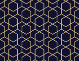 Blue and Gold Geometric